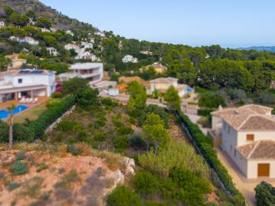 Aerial view of the plot