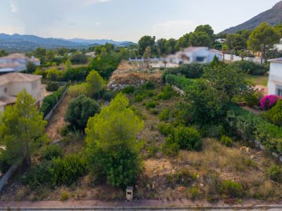 Aerial view of the plot