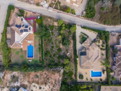 Aerial view of the plot