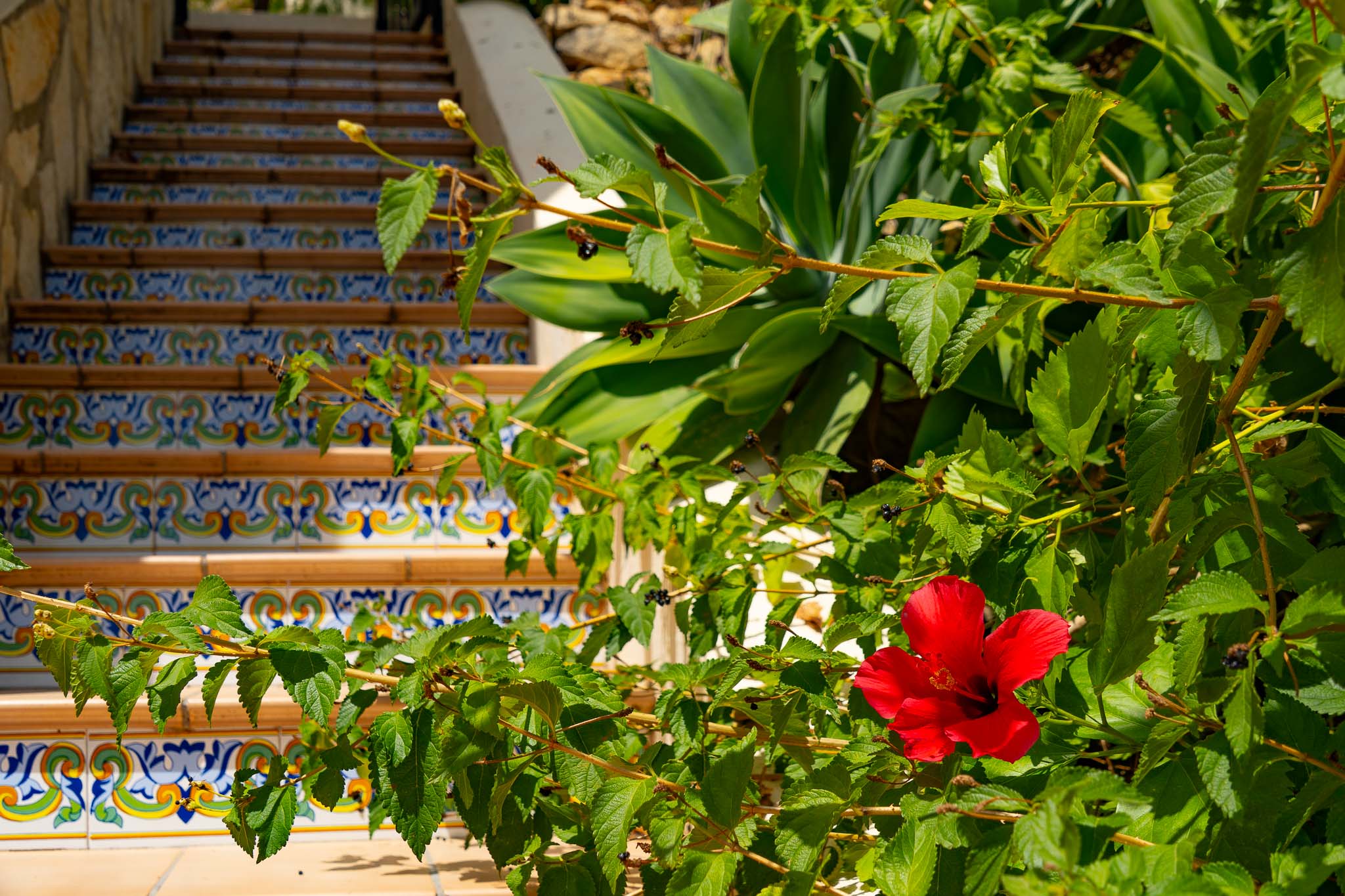 Outdoor garden stairs