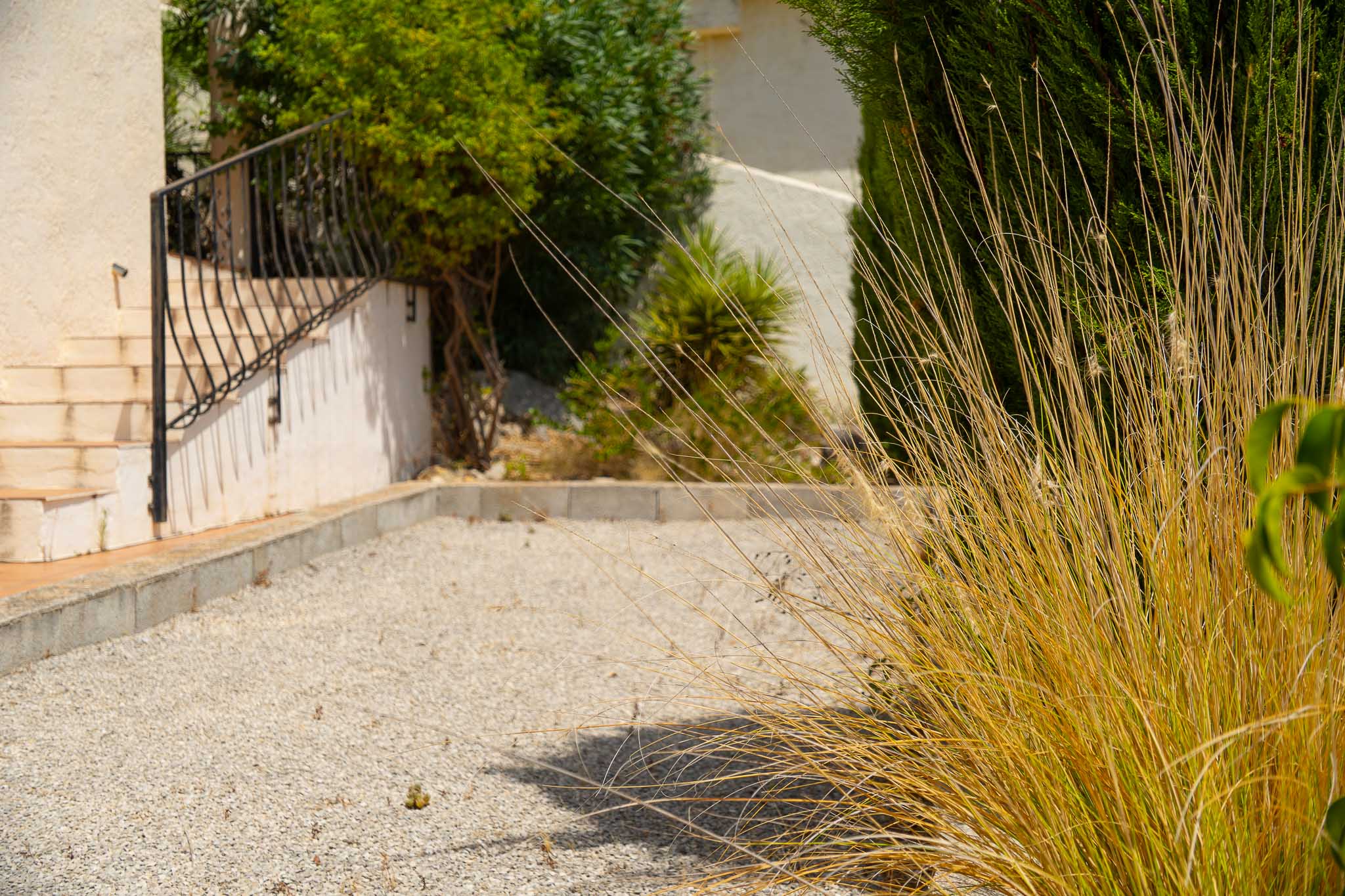 Petanque court and garden