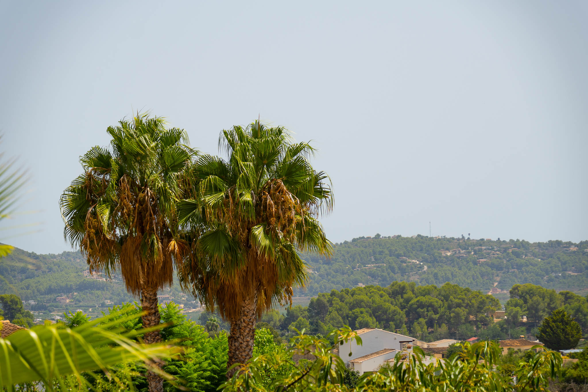 Valley and mountain views