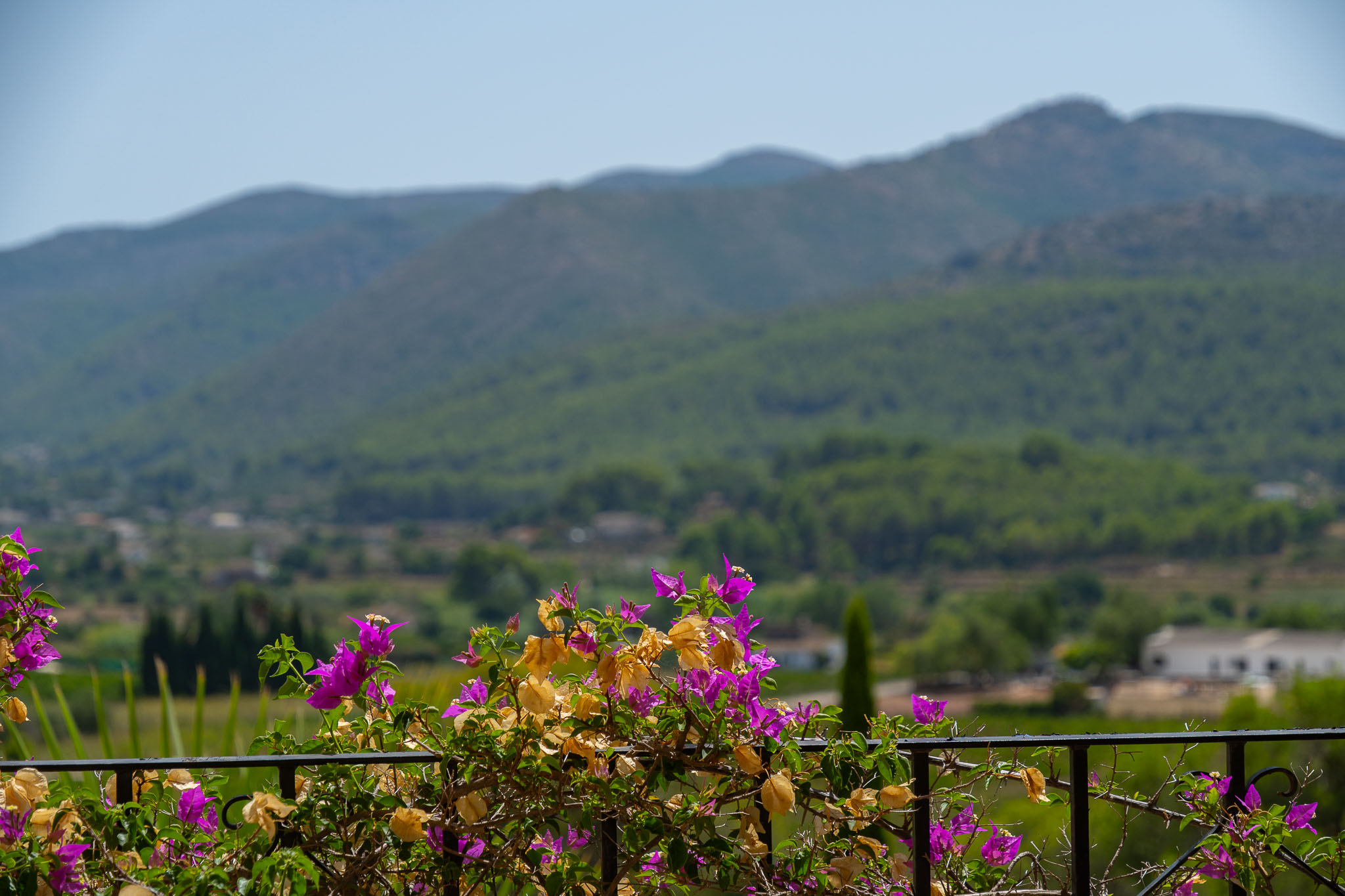 Valley and mountain views