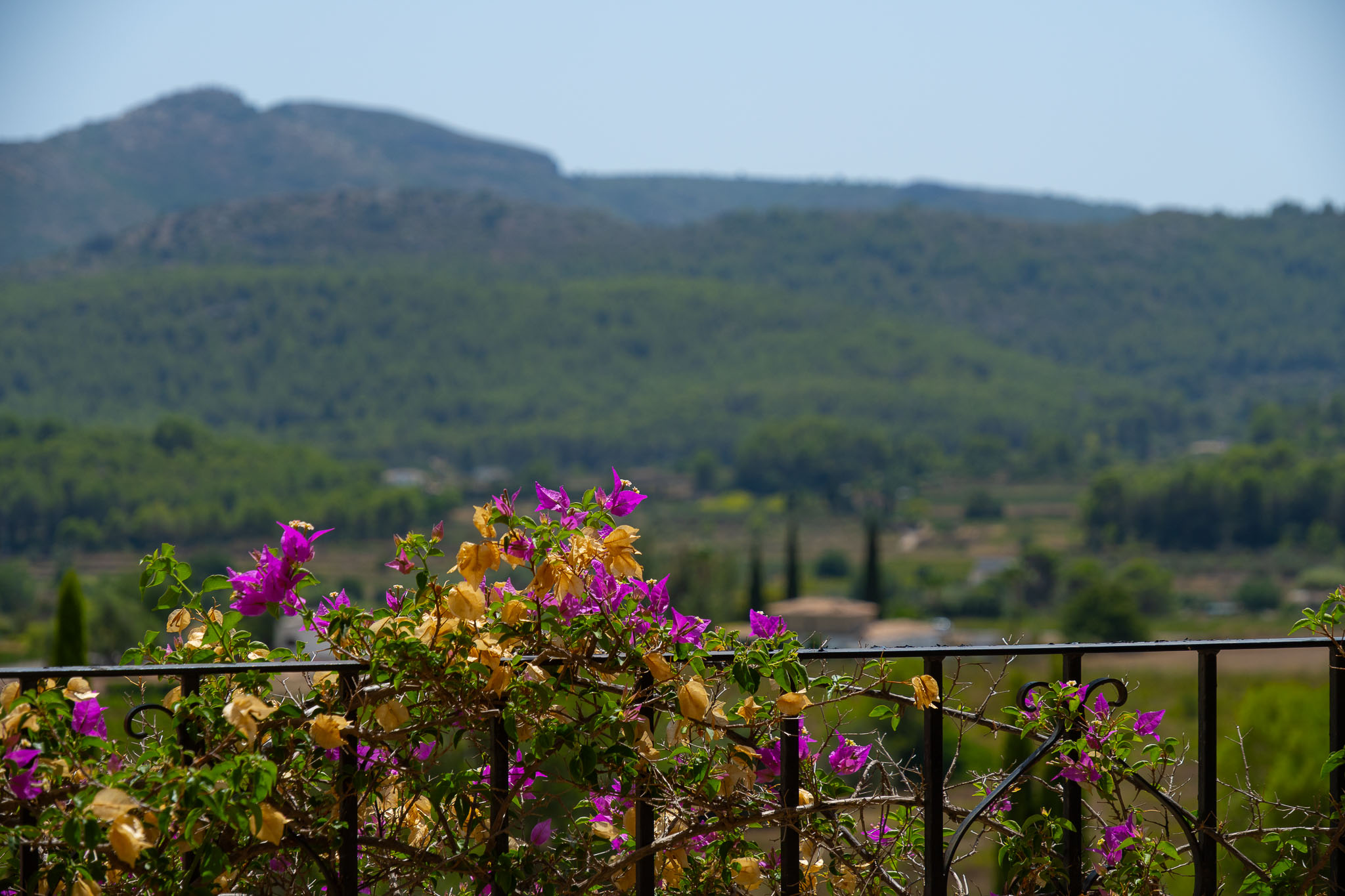 Mountain view from terrace