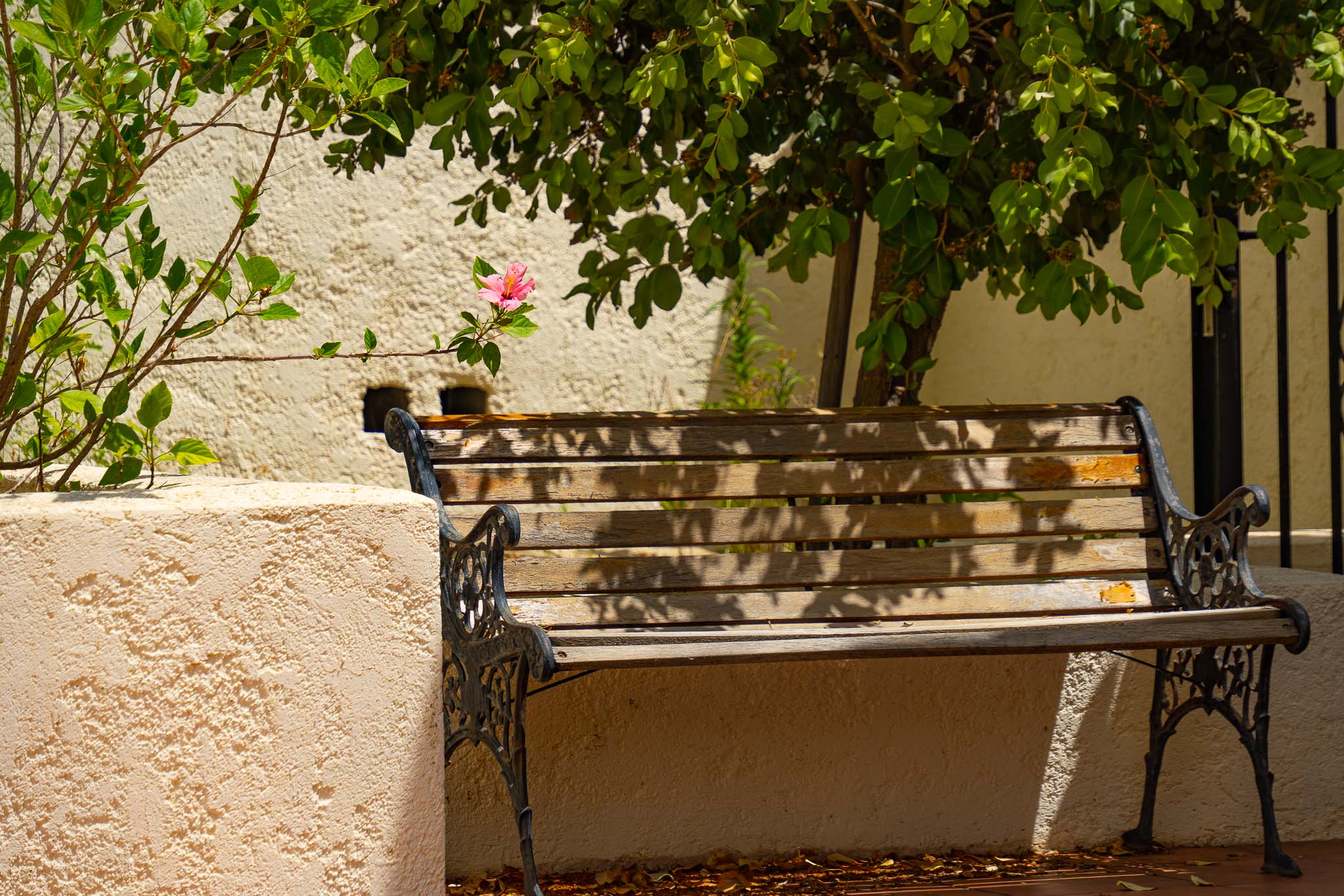 Garden corner