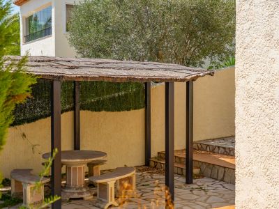 Pergola in the garden