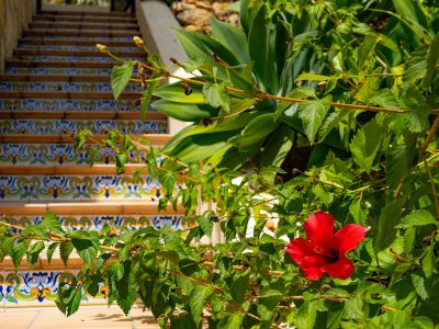 Outdoor garden stairs
