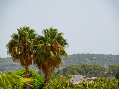Valley and mountain views