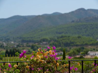 Valley and mountain views