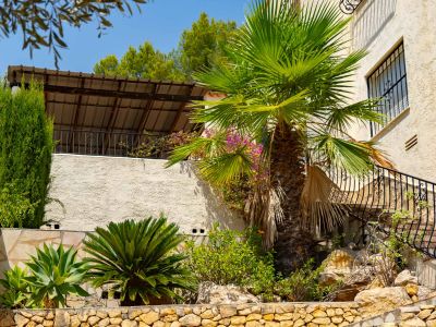 Garden and exterior stairs