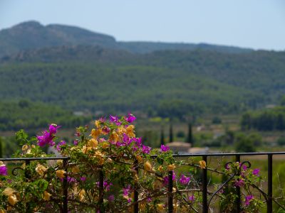 Mountain view from terrace
