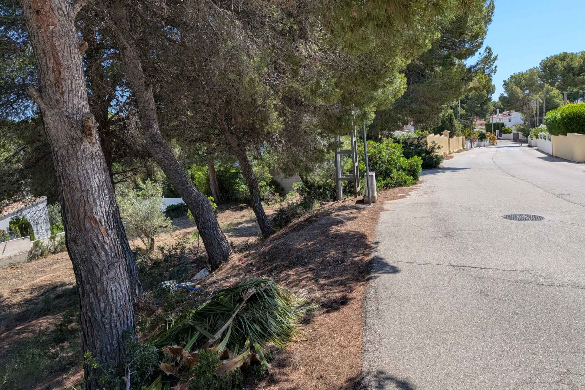 Street access to the plot