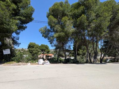 Street view of the plot