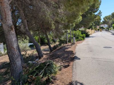 Street access to the plot