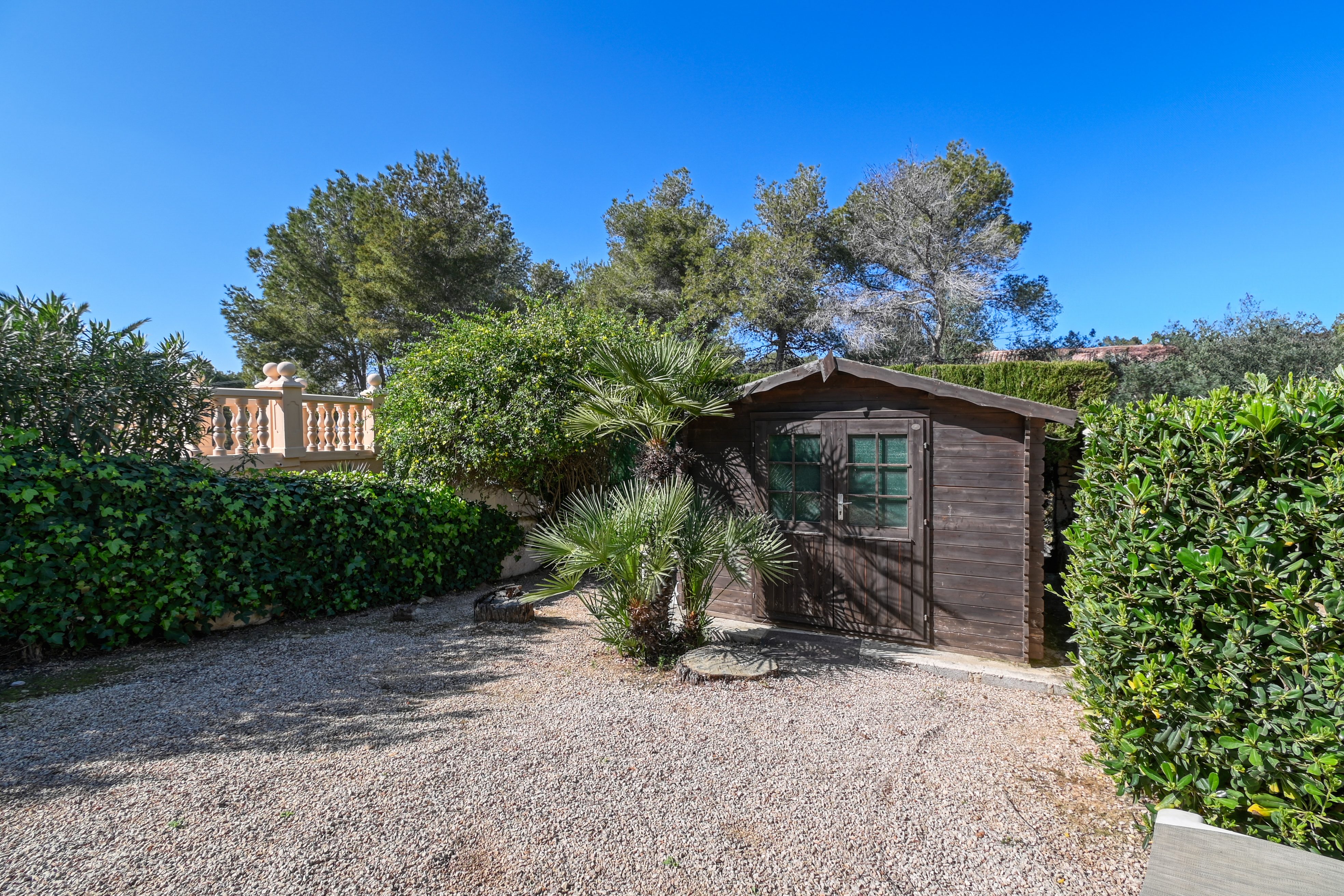 Garden with shed