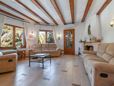 Living room with fireplace