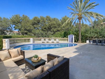 Swimming pool and terrace