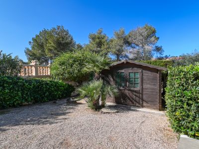 Garden with shed
