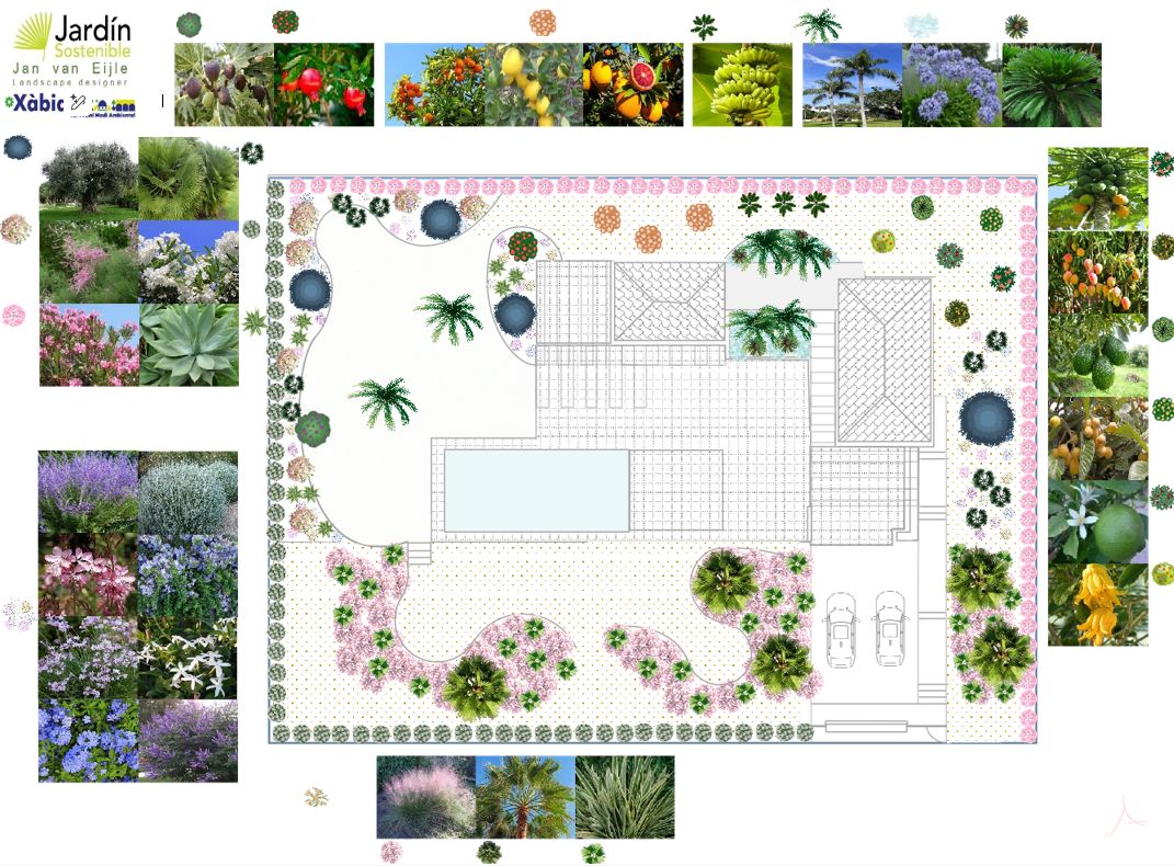 Garden landscape design plan