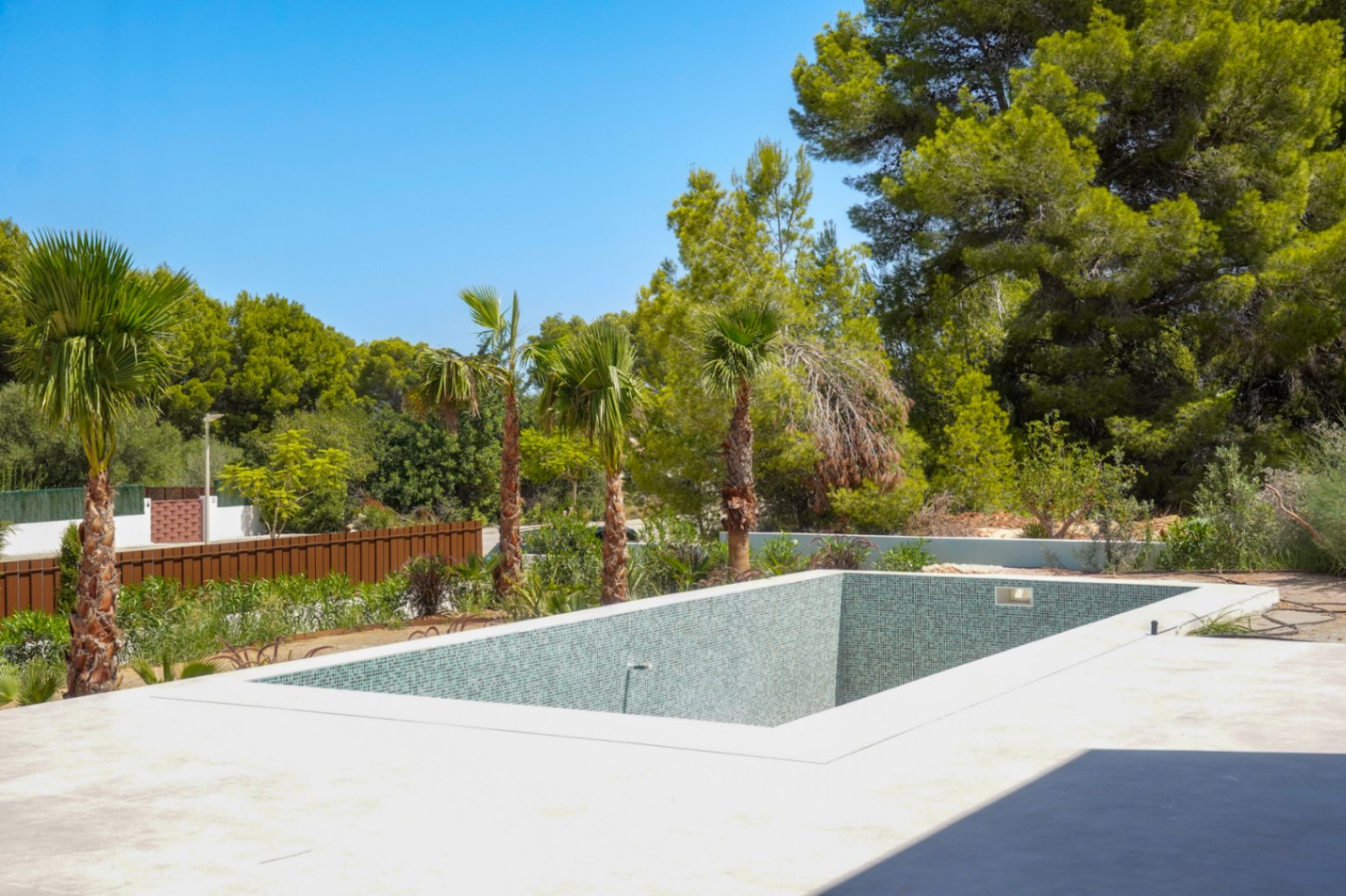 Swimming pool and garden