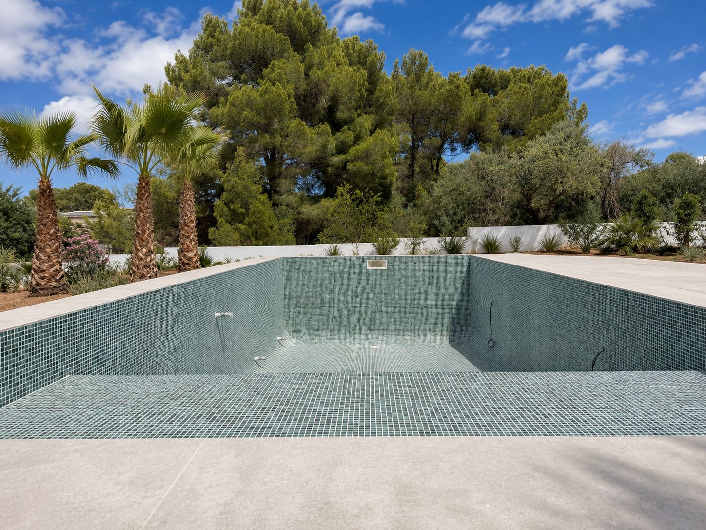 Swimming pool and garden