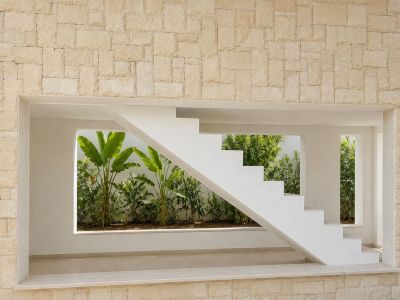 Staircase and courtyard garden