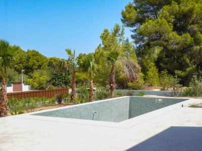Swimming pool and garden