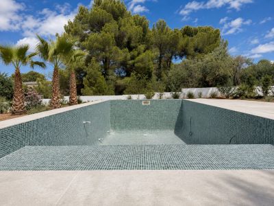 Swimming pool and garden
