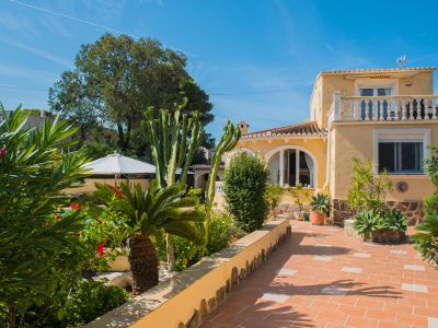 Exterior terrace and garden
