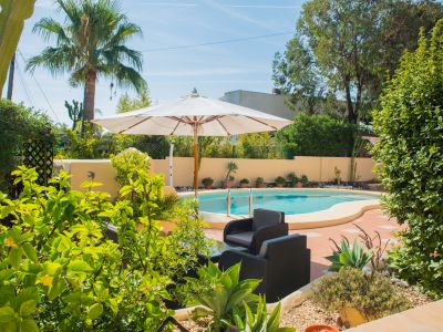 Swimming pool and garden