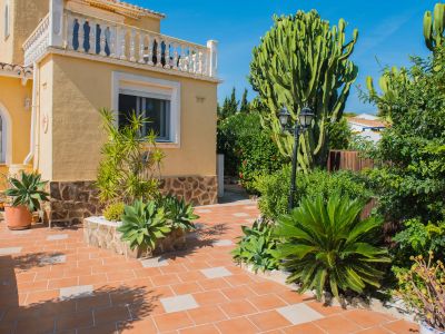 Terrace and garden