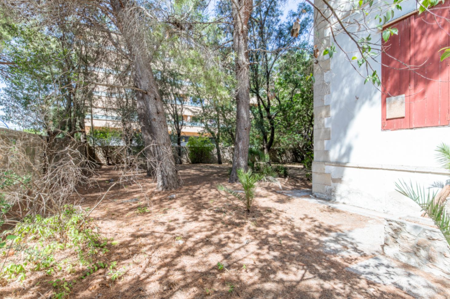 Garden area with trees