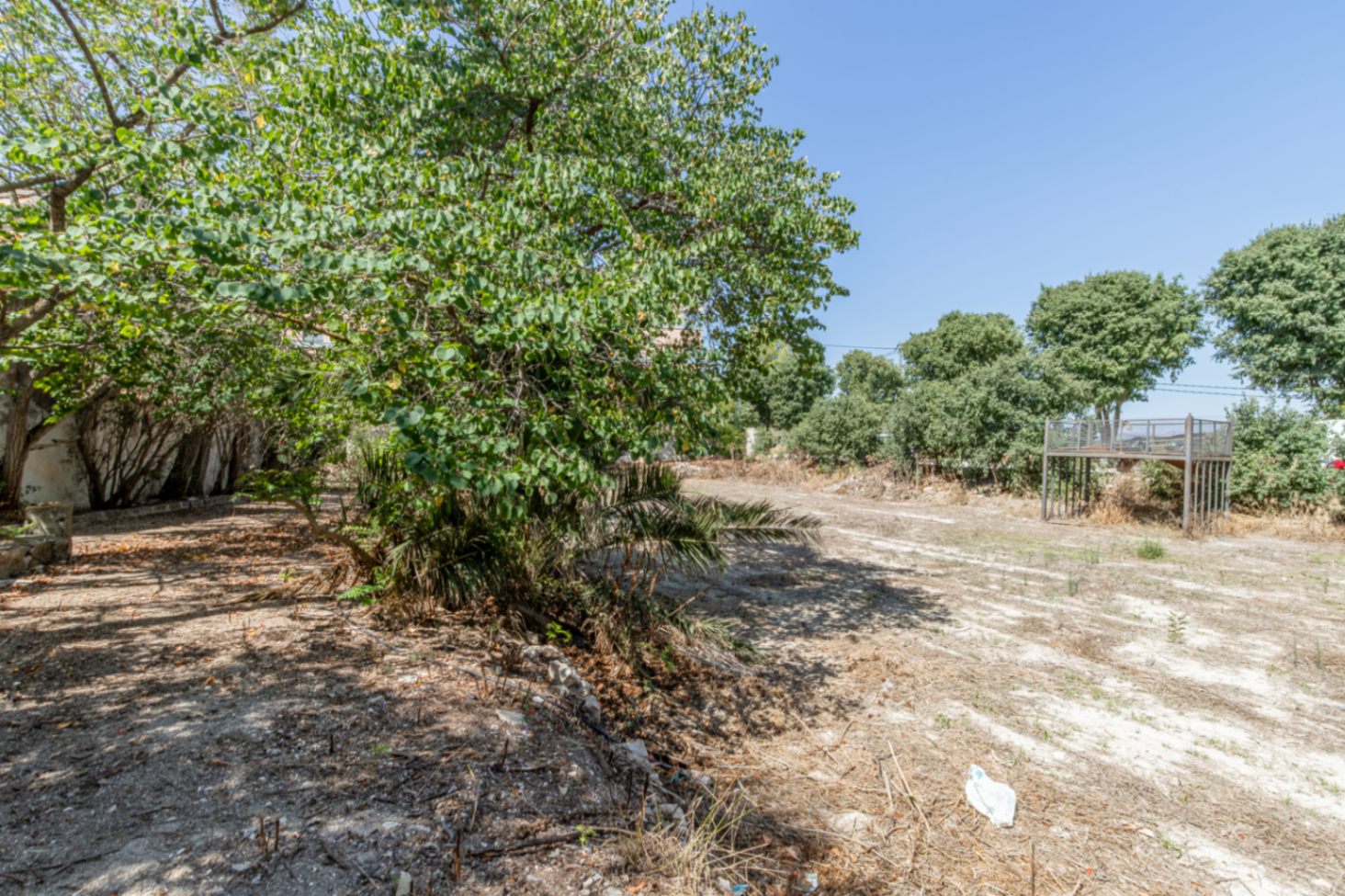 Outdoor plot and grounds