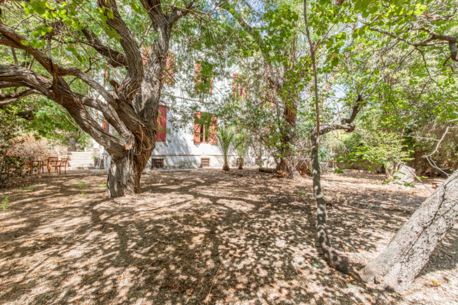 Wooded garden on the property