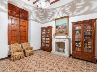 Living room with fireplace