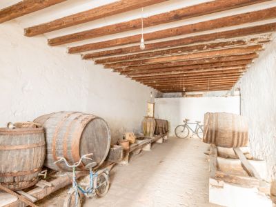 Historic wine cellar