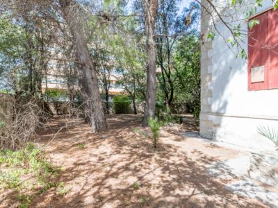 Garden area with trees