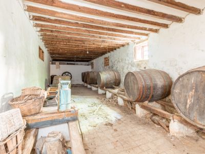 Traditional wine cellar