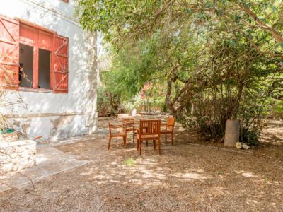 Garden and outdoor area