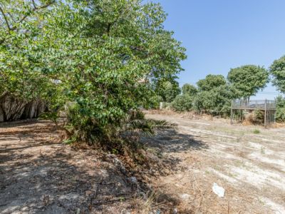 Outdoor plot and grounds