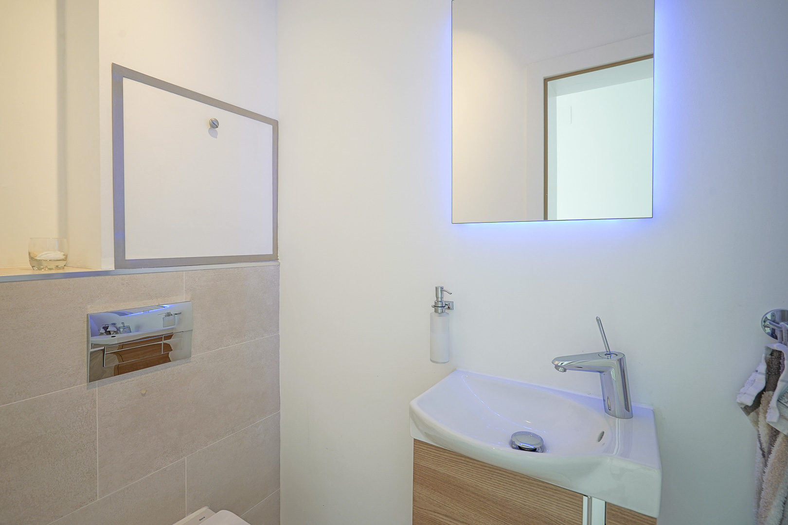 Guest toilet
