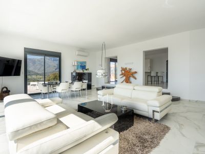 Living and dining room with mountain views