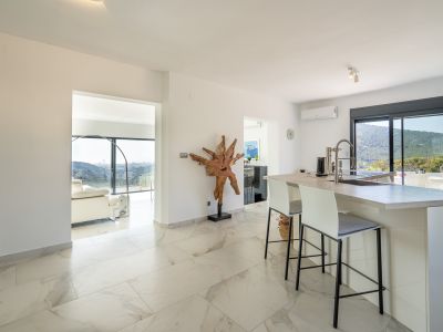 Open kitchen and living area