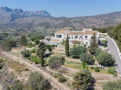 Aerial view of the villa