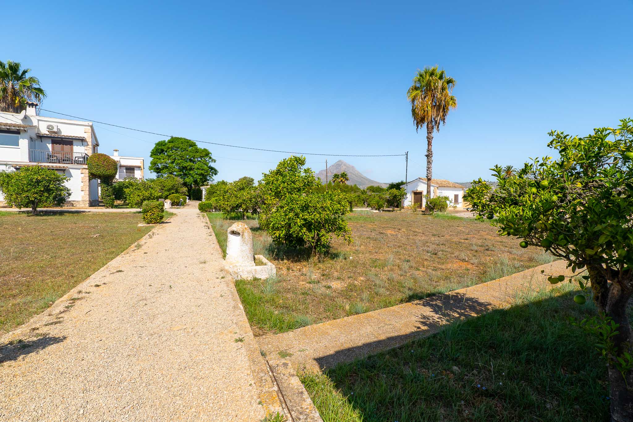 Communal garden with mountain view