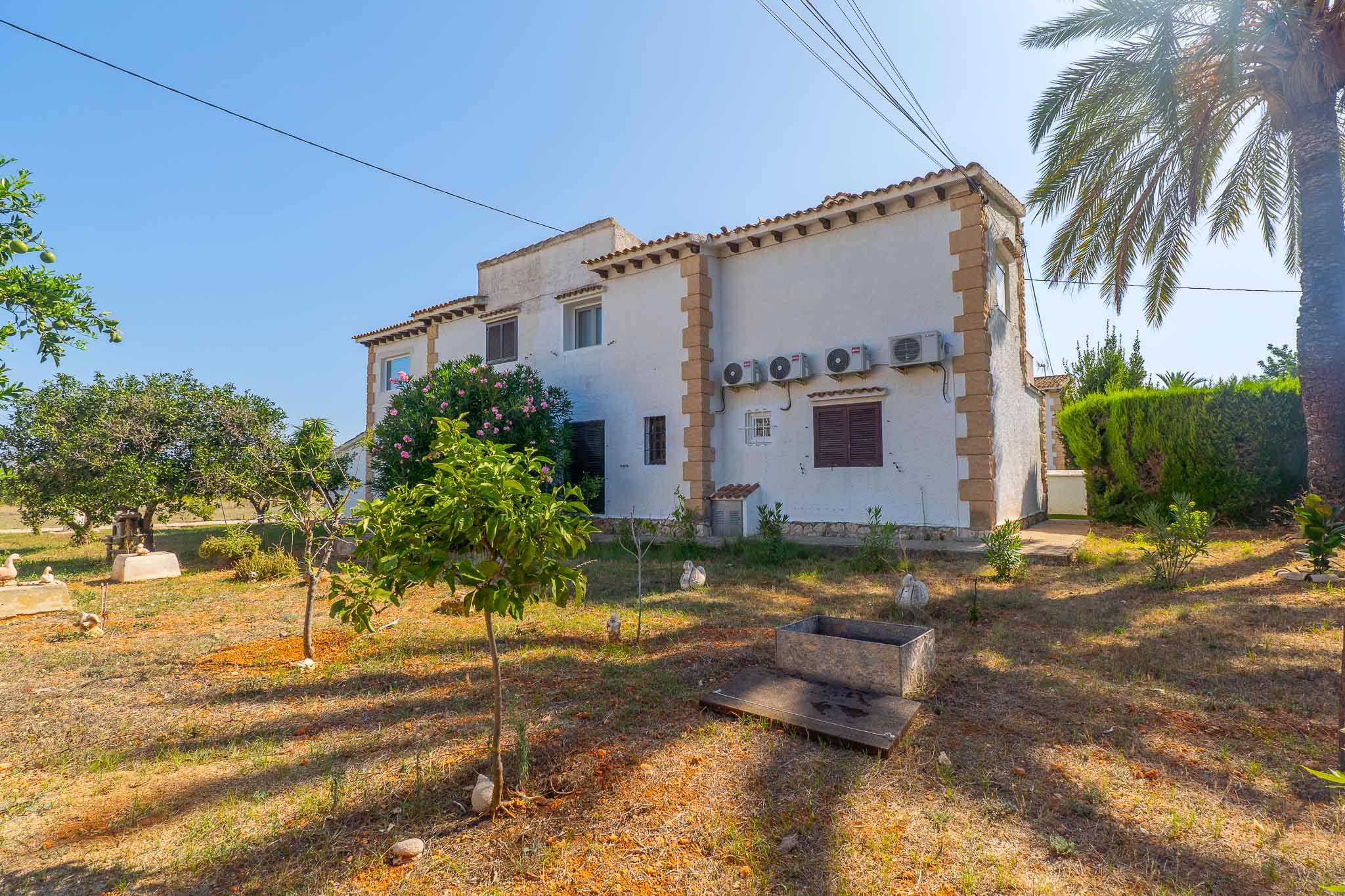 House exterior and garden
