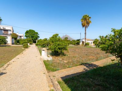 Communal garden with mountain view