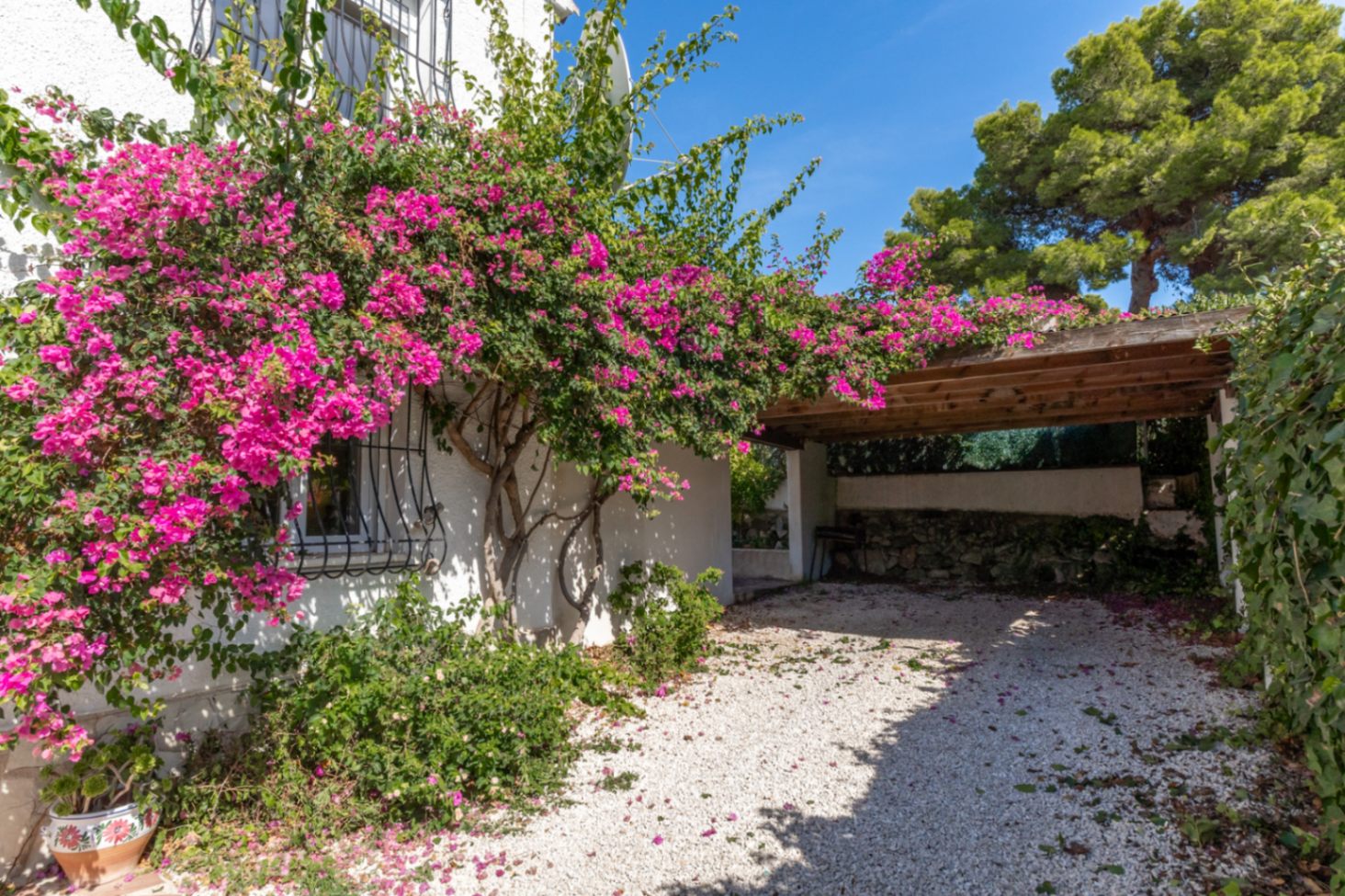 Carport and driveway