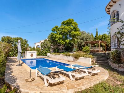 Swimming pool and garden