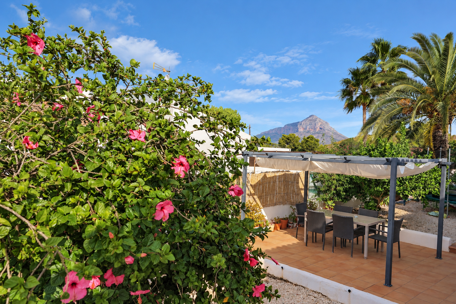 Terrace with Montgó views